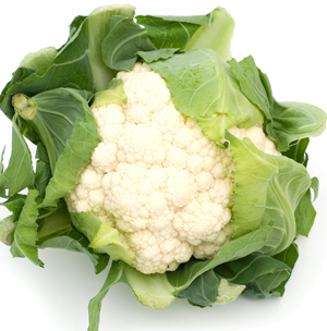 Conopida, legume