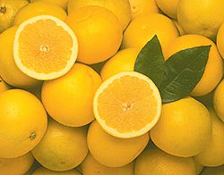 Grapefruit, fructe