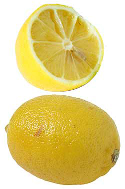 Lamaie