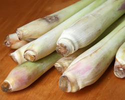 Lemongrass