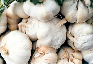 Usturoi, legume