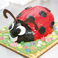 Photocake