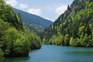 lac petrimanu