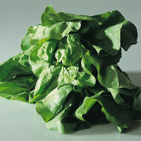 salata