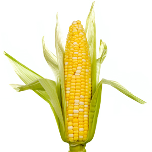 porumb