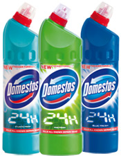 Domestos 24H