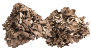 ciuperca, Maitake