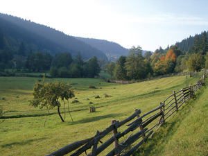 Vrancea, peisaj