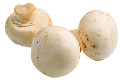 Ciuperci