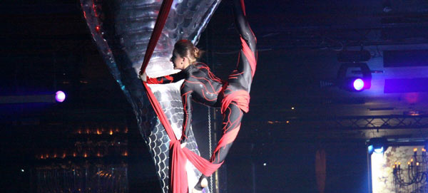 Compania de teatru - dans 2012