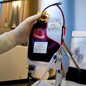 Cord Blood Center, celule stem