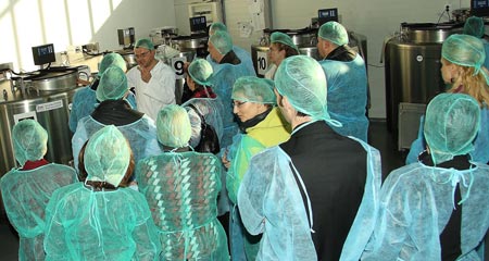 Cord Blood Center, celule stem