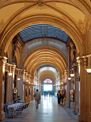 Viena