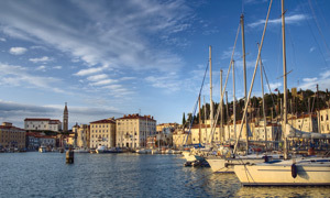 Portul Trandafirilor