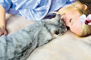 Descifreaza limbajul corporal al pisicii tale  Animale de casa 