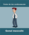Genul masculin