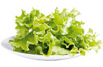 1 castronel de frunze de salata