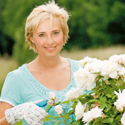 Flori de gradina