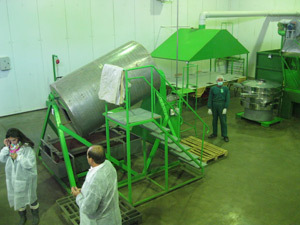 Procesarea
