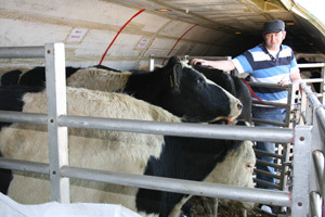 „Milk for orphans
