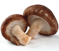 Shiitake