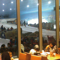 Mall of the Emmirates