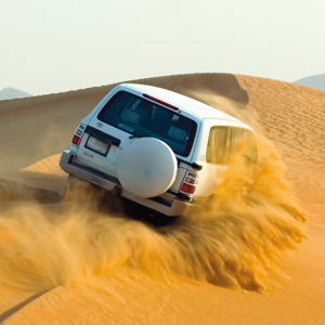 safari