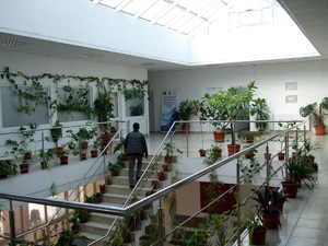 Primaria Cumpana