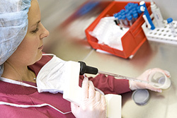Fertilizare in vitro