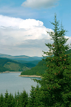 Lacul Vidra