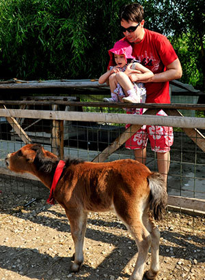 Ferma Animalelor din Pantelimon
