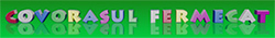 www.covorasulfermecat.ro