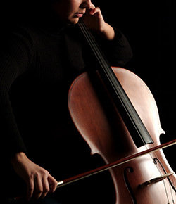 Violoncel