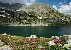 Lacul Bucura