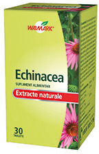Echinacea
