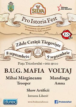 Zilele Cetatii Targoviste
