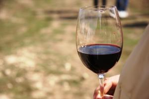 Vin Cabernet 2010
