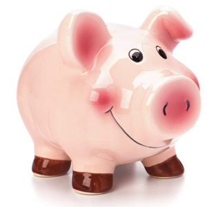 bani, economie, economisire