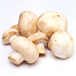 ciuperci